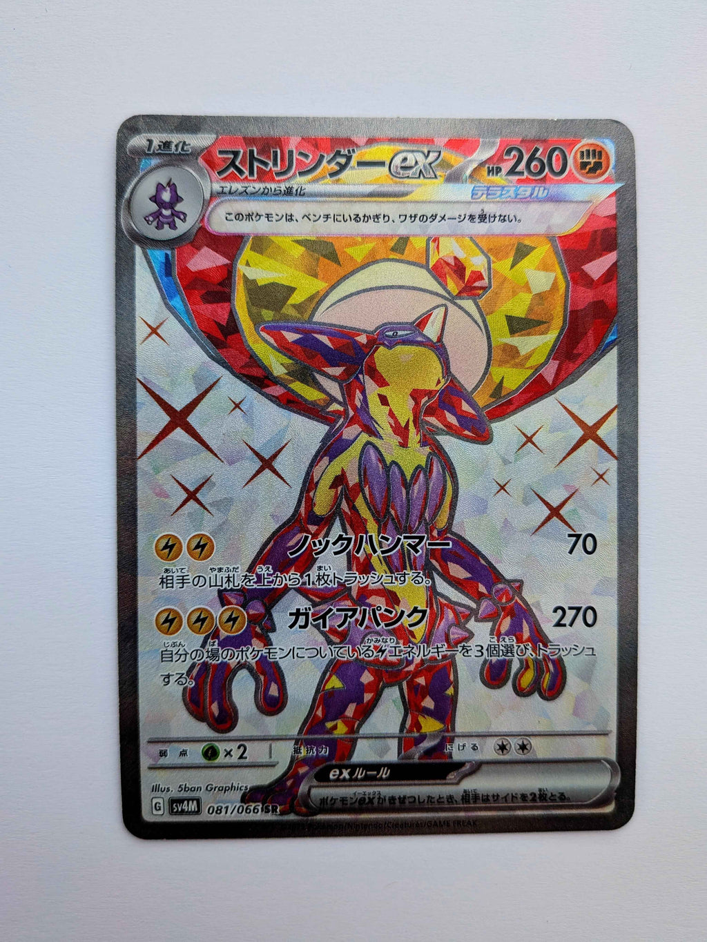 Toxtricity Ex SR JP 081/066