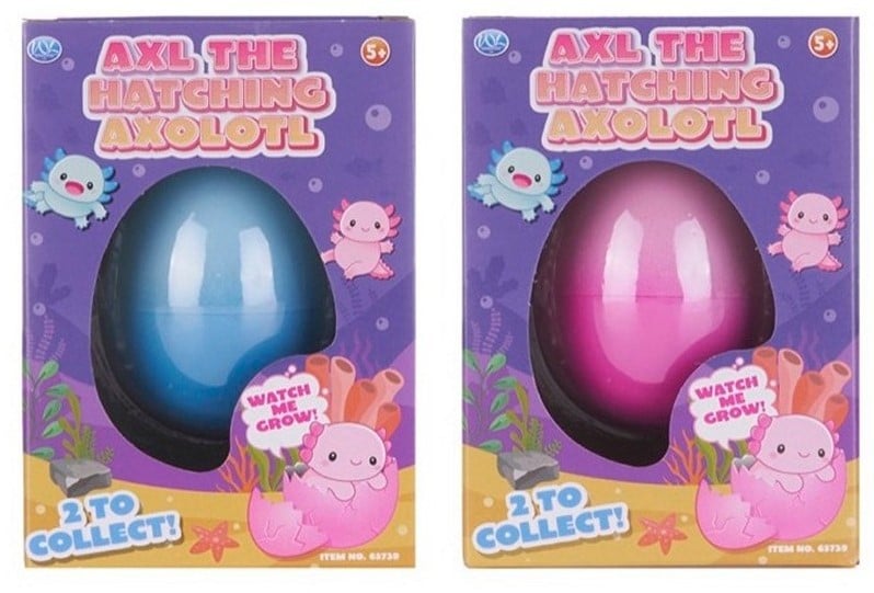 Hatch and Grow Axolotl Eggs - Pink or Blue